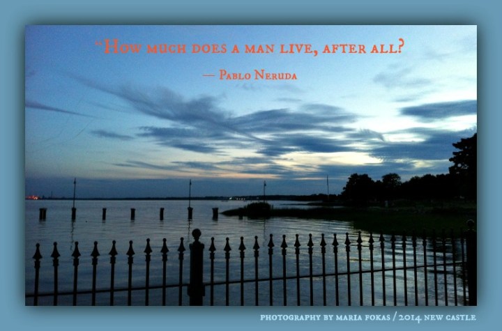 New Castle Collection 