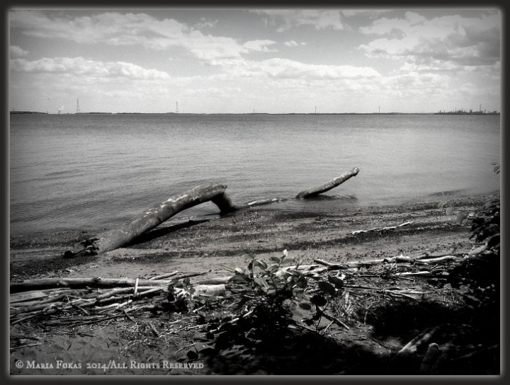 The Log Collection/ New Castle 2014